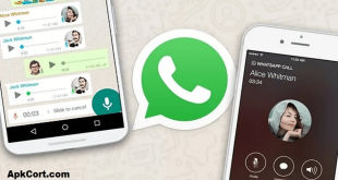 check anyone Whatsapp