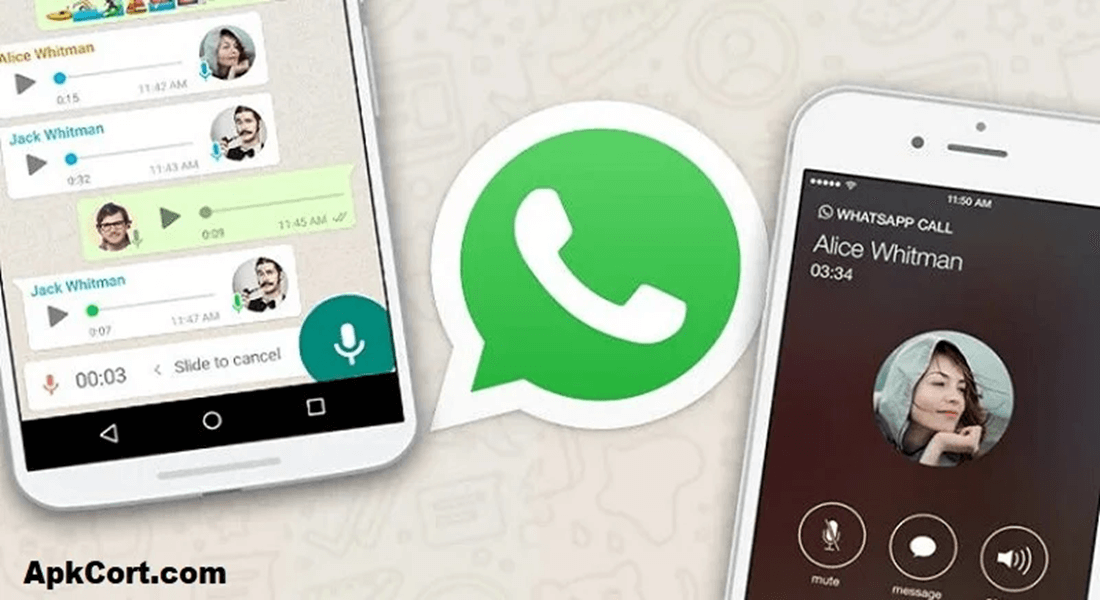 check anyone Whatsapp